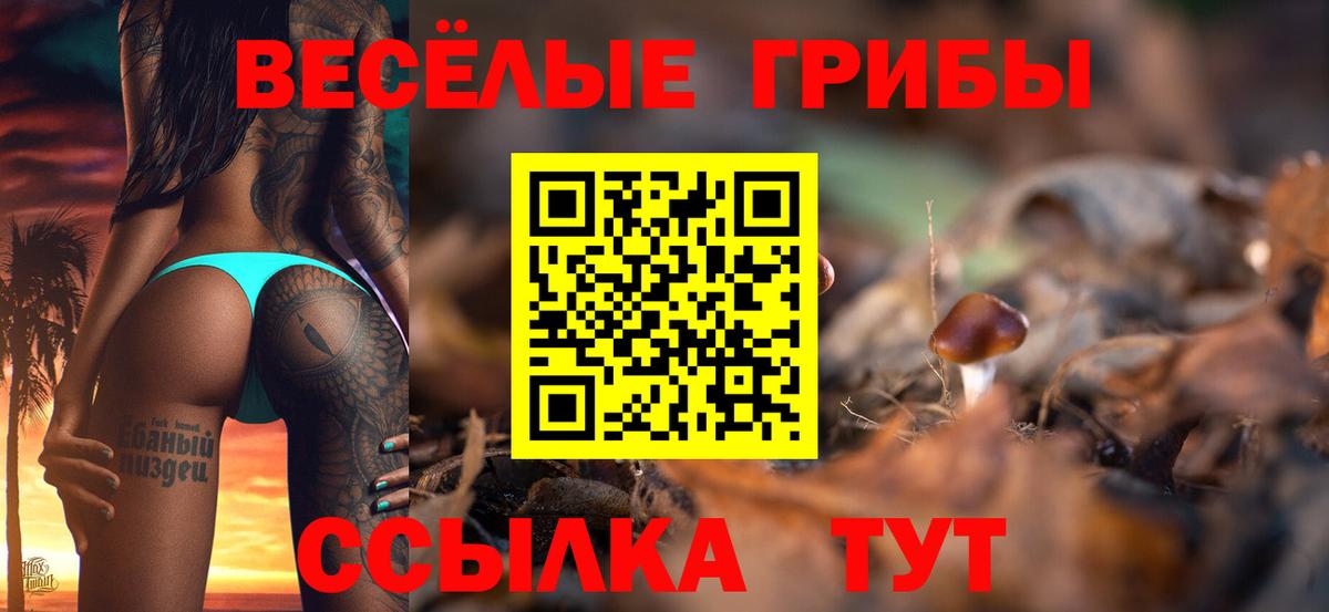 Галлюциногенные грибы прущие грибы Дмитров